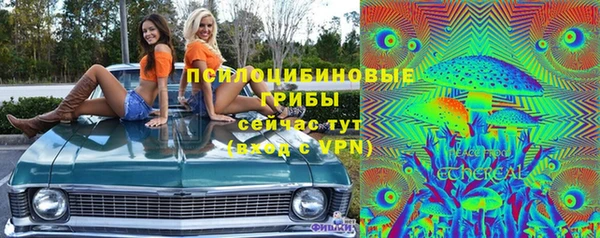 apvp Богданович